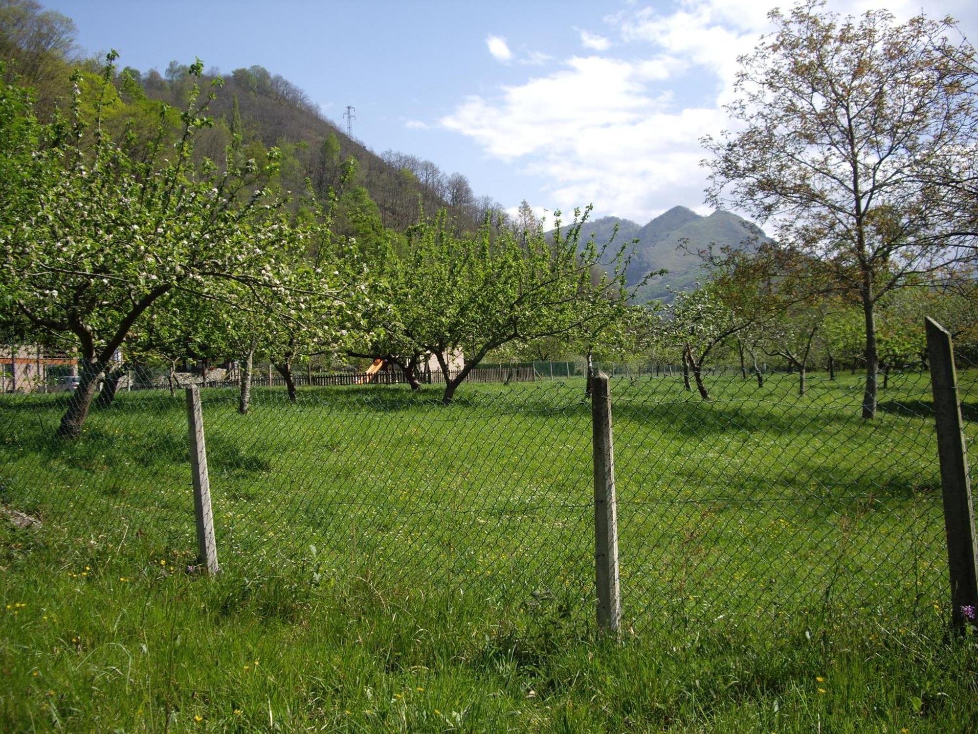 Casa Rural El Canton Кангас-де-Онис Экстерьер фото